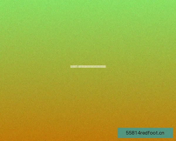 使命召唤5中文补丁安装教程及常见问题解答全面指南